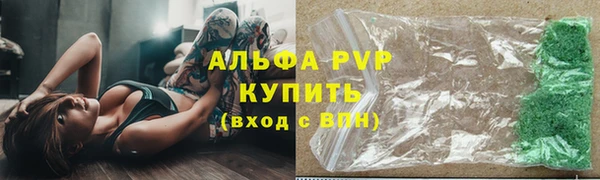 гашик Инта