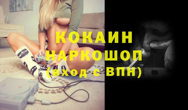 гашик Инта