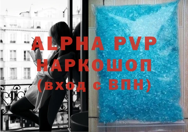 гашик Инта