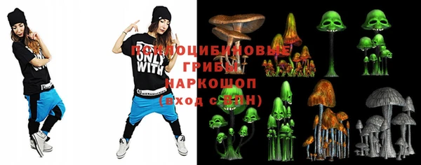 гашик Инта