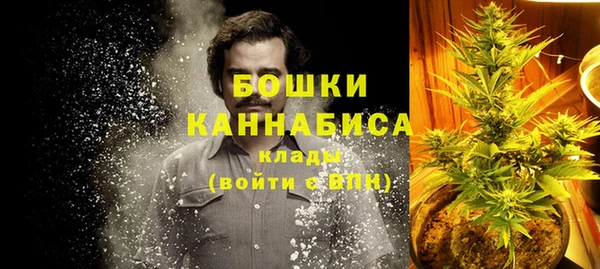 гашик Инта