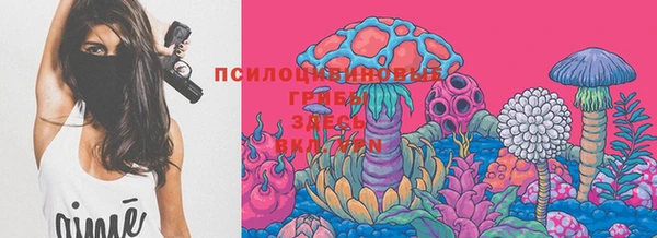 гашик Инта