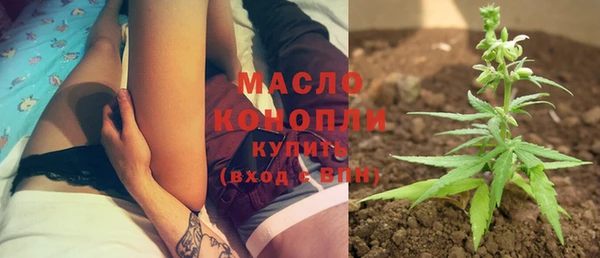 гашик Инта